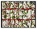 Robin Reed 8x10-Inch English Christmas Crackers - Holiday Holly