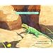 About Reptiles: A Guide for Children (About...)