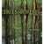 Trees & Forests of America