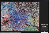 Minneapolis From Space, Art Poster, size 20