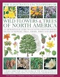 The Illustrated Encyclopedia of Wild Flowers & Trees of North America: An expert reference and identification guide to over 2000 wild flowers and ... beautiful watercolours, maps and photographs