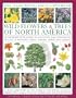 The Illustrated Encyclopedia of Wild Flowers & Trees of North America: An expert reference and identification guide to over 2000 wild flowers and plants from every continent with 4000 beautiful watercolours, maps and photographs