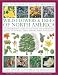 The Illustrated Encyclopedia of Wild Flowers & Trees of North America: An expert reference and identification guide to over 2000 wild flowers and ... beautiful watercolours, maps and photographs