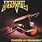Anvil Picture 10