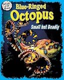 Blue-Ringed Octopus: Small But Deadly (Afraid of the Water)