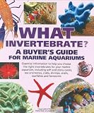 What Invertebrate?