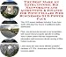 Book The Best Make An Extra Income, Biz Networking and Accounting & Finance for Wine Cellars Web Businesses 3 CD Power Pack