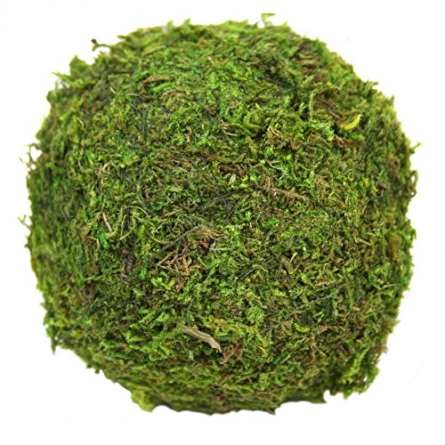Koyal 12-Pack Green Moss Balls, 4-Inch