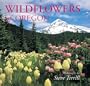 Wildflowers of Oregon