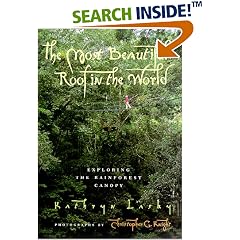 The Most Beautiful Roof in the World: Exploring the Rainforest Canopy