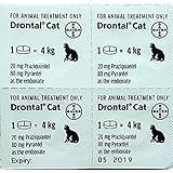 BAYER Drontal Allwormer Roundworms, Tapeworms, Hookworms for Cats, 4 Tablets