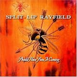 Review Split Lip Rayfield  / Should Have Seen It Coming