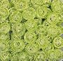 Drahtb�lle, Drahtkugeln. Ca 30 mm. 10 St�ck. Hell gr�n, APFELGR�N
