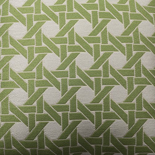 Mastercraft Fabric Vibrant Cane Grasshopper Rectangle Outdoor/Indoor Pillow, 12-Inch x 20-Inch
