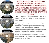 The Special How To Earn Extra Money, Accounting & Finance and Sales Models for Antique China Plates Businesses 3 CD Power Pack