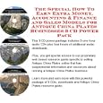 The Special How To Earn Extra Money, Accounting and Finance and Sales Models for Antique...