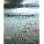 Rudolf Stingel: MCA Chicago/Whitney New York