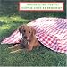 Search : Where's the Puppy?/¿Dónde está el perrito? (English/Spanish bilingual)