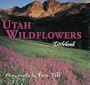 Utah Wildflowers (Utah Littlebooks)