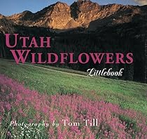 Utah Wildflowers (Utah Littlebooks)