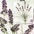 FOUR 21" Lavender Artificial Silk Flower Bushes _Purple