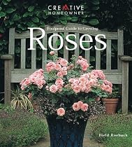 Foolproof Guide to Growing Roses