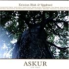 Click here to buy Askur by  Anders Jormin, Kristian Blak, Mikael Blak, Hedin Ziska Davidsen, and Brandur Jacobsen .