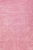 Chenille Shag Rug 2'x3' Pink