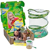 Original Butterfly Garden with Live Cup of Caterpillars