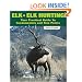 Elk and Elk Hunting: Your Practical Guide to Fundamentals and Fine Points