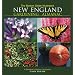 The Boston Globe Illustrated New England Gardening Almanac