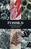 Fossils : a photographic field guide