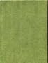 Vietnam Tracks: Armor in Battle 1945-75