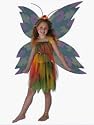Amber, the Woodland Fairy Child Halloween Costume Size 4-6 Small(ST)