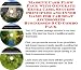 Book The Secret How To Earn Extra Money, Marketing and Inner Game for Car Seat Accessories Biz 3 CD Package