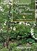 Gardening With the Native Plants of Tennessee: The Spirit of Place
