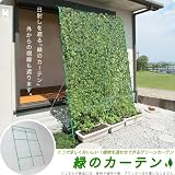 【省エネ】【節電対策】【冷房効果UP】【日差しカット】 育てた植物が日射しを遮る エコで涼しい 緑のカーテン （環境問題/食育/熱環境緩和） 環境問題