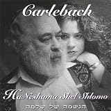 Haneshama Shel Shlomo