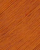 Alchemy Sanctuary Handpaint Elements Yarn 05f Persimmon