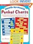 Month-By-Month Pockets Charts: 20 Knock-Your-Socks-Off Pocket Chart Poems With Lessons That Take You Through the Year & Build Skills in Reading, Math, Science & More