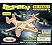 3D Puzzles - Osprey