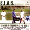 S.L.A.B. 1