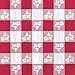 Perfect Picnic Red Gingham Dessert Napkins & Plates Party Kit for 25