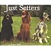 Just Setters