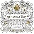 Enchanted Forest: An Inky Quest & Coloring Book