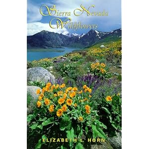 Sierra Nevada Wildflowers Elizabeth L. Horn and Kathleen Ort