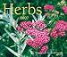 Books : Herbs 2007 (Calendar)