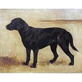 Black Labrador Retriever Antiqued Canvas Art - 11x14
