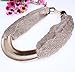 QIYUN.Z (TM Winter Fashion Mesh Web Link Chains Bold Chunky Tibet Bib Choker Necklace
