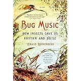 bug music how insects gave us rhythm and noise